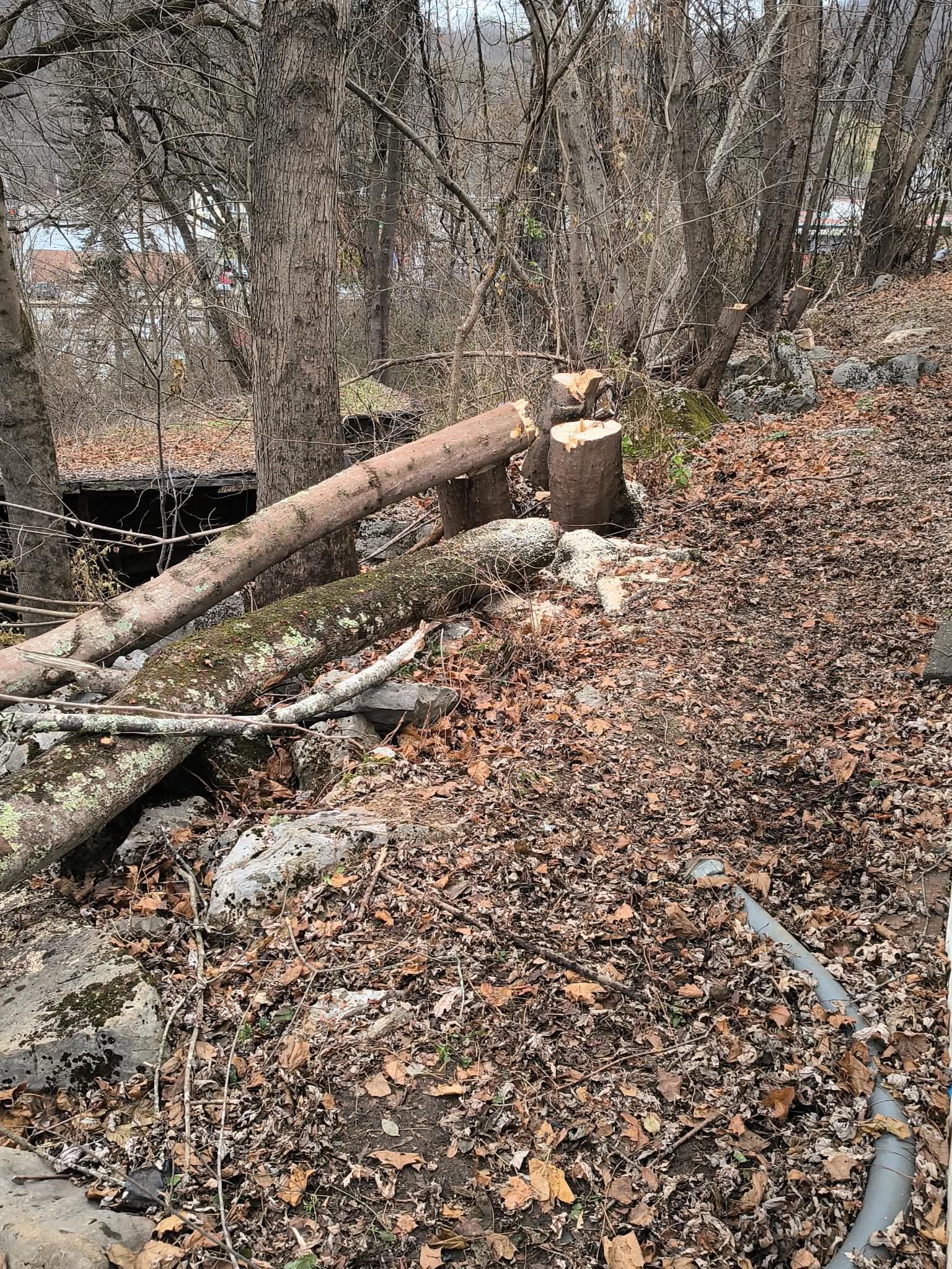 Project photo